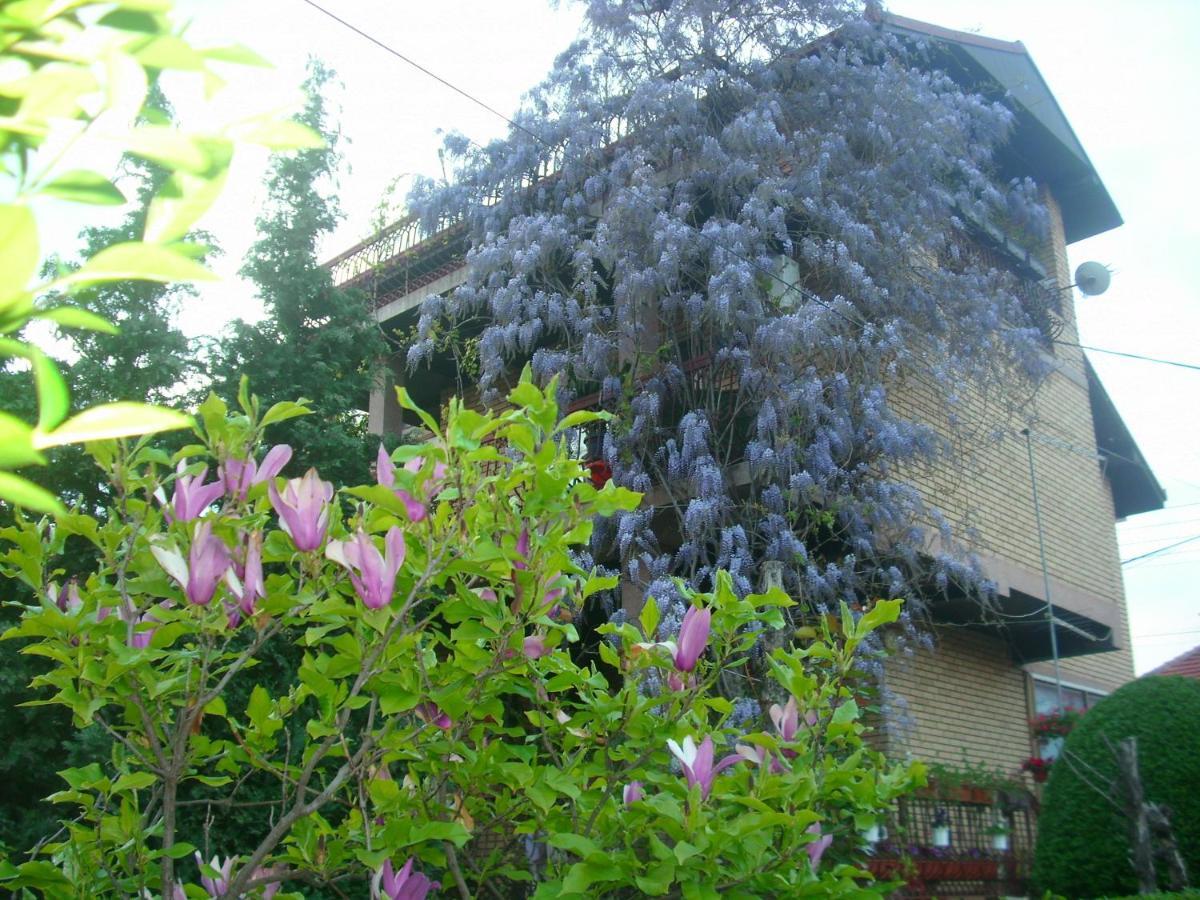 Apartman Wisteria Vranje Luaran gambar