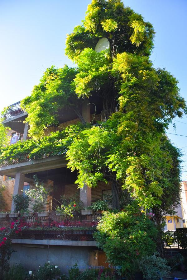 Apartman Wisteria Vranje Luaran gambar